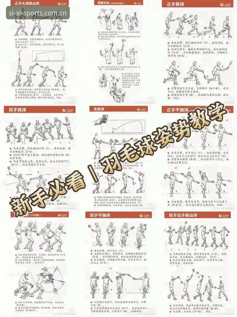 四喜体育使用教程使用技巧 四喜体育使用教程使用技巧详解:从入门到精通的创新指南